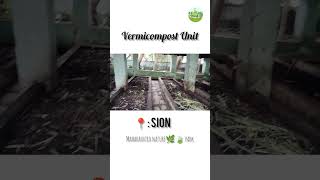 Vermicompost set up in Maharashtra Nature Partk at Sion  shorts vermicomposting azmiagriculture [upl. by Korenblat]