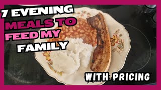 7 Realistic Evening Meals I Feed My Family of 4 whatsfordinner [upl. by Gonnella185]