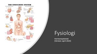 1 semester Fysiologi  Hormonsystemet [upl. by Robbie]