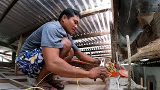 INSTALLING ELECTRICAL WIRING IN A HOUSE OF AHERN FAMILY [upl. by Adnirol612]