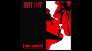 Tom Zanetti  Didn’t Know Clean Version [upl. by Acissey209]