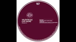 Valentin Ilie Livia Andrei  Continuum Fhaken Wayne Madiedo Remix Habitat [upl. by Dominy]