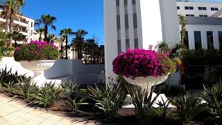 Tenerife Playa de las Americas walk along hotels H10 Las Palmeras and Spring Vulcano Teneriffa [upl. by Mansfield250]