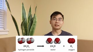 How and Why to Use Hydrogen Peroxide for House Plants [upl. by Arawaj]