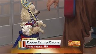 UA Presents  Zoppe Family Circus [upl. by Enegue]