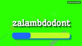 HOW TO SAY ZALAMBDODONT zalambdodont [upl. by Cacie]