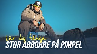 Lär dig fånga STOR abborre på pimpel [upl. by Eilagam169]