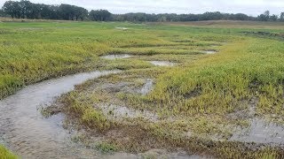 Behind the Scenic Views  School Springs Wetland and Stream Mitigation Project [upl. by Kamillah]