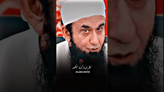 Molana Tariq Jameel bayyan 💓🙏🙏🙏 foryou shortclips viralshort viralvideo love tariqjameel👂👂 [upl. by Boeschen273]