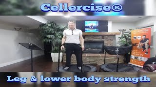 Leg amp Lower Body Strength Routine  Cellercise® [upl. by Aiclef583]