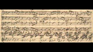 Johann Sebastian Bach  Harpsichord Concerto No1 in D minor BWV 1052  I Allegro [upl. by Hester732]