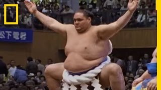 Sumo Wrestling 101  National Geographic [upl. by Sayer]