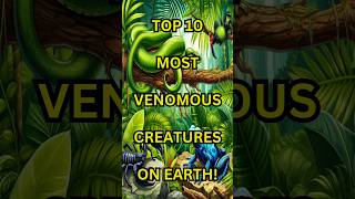 Top 10 Most Venomous Creatures on Earth [upl. by Ric]