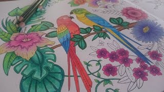 Coloring the Magical Jungle by Johanna Basford [upl. by Mohsen35]