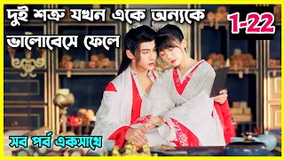 Different princess Movie explain in Bangla।। all episode।।Ep1 to 22।।chinese movie bangla dubbed [upl. by Akkin]