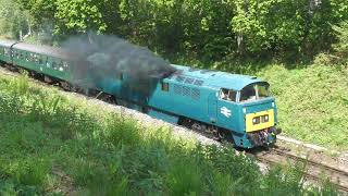 D1015 leaving Harmans Cross 12th May 2024 [upl. by Cerallua]