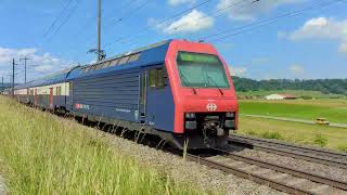 SBB CFF FFS Re 450 017  Re 450 053 com S9  Eglisau [upl. by Osher]