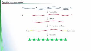 Regulatie van genexpressie [upl. by Starlene]