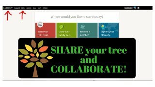 Ancestrycom Manage Family Tree  Sharing  Collaborate Guest Contributor Editor [upl. by Aenit]