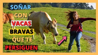 🐮😡 que SIGNIFICA SOÑAR con VACAS BRAVAS QUE TE ATACAN 😩🐮 [upl. by Alled]