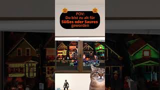 PoV Du bist zu alt für Halloween geworden Katzenvideos zocken katze halloween shorts [upl. by Julian]