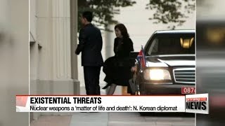 N Korea diplomat says there will be no negotiations on nuclear program [upl. by Willett]