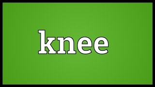 Knee Meaning [upl. by Onavlis445]