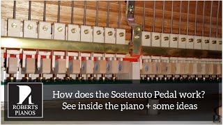 How does the Sostenuto middle pedal on a grand piano work See the mechanism inside the piano [upl. by Dlarej987]