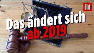 Neue Gesetze Das ändert sich 2019 [upl. by Atnahsal968]