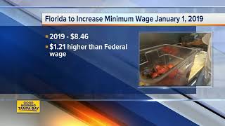 Floridas minimum wage increase will take effect January 1 2019 [upl. by Otiv]