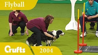 Flyball Final from Crufts 2004  Crufts Dog Show [upl. by Nuriel569]