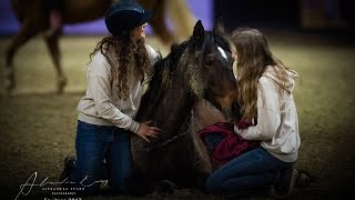 Equitana 2017 mit NativeHorse  Ein krasser Tag 🐴 [upl. by Olshausen]