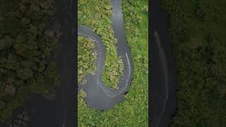 PAMPAS DEL YACUMA BOLIVIAN AMAZON🇧🇴 FROM ABOVE 🚁 DRONE [upl. by Zil428]