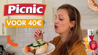 Voor precies 40 euro mijn weekboodschappen bij PICNIC doen [upl. by Sidnal]