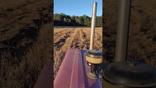 Baling crabgrass hay with a Vermeer 5400 Rebel and Mahindra 4505 farmall51 hay vermeer [upl. by Wind840]