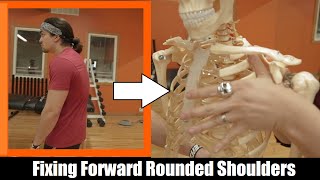 2 TIPS FOR FIXING YOUR ROUNDED SHOULDERS Releasing The Serratus Anterior Ft VinnieRehab [upl. by Adnarym]