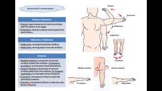 terms of movementsDrAhmed Farid [upl. by Marrilee]