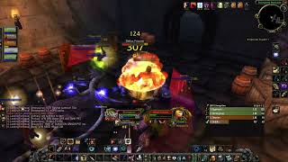 WoW Classic SoD level 25 melee survival hunter pve The Stockade [upl. by Aicia]