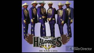 El Bandido De Amores – Los Halcones De San Luis [upl. by Clancy]