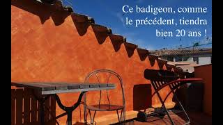 Entretenir un badigeon de chaux [upl. by Shandra189]