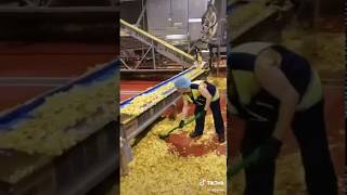 Chips Lays factory production shock Как делают чипсы на заводе шокирующая правда Лейс Люкс [upl. by Ecinnahs301]