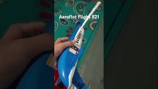 Aeroflot Flight 821 Recreated in Lego [upl. by Marie-Ann]