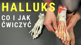 HALLUKSHALUKS  jakie ćwiczenia na paluch koślawy  dr n med Marcin Wytrążek [upl. by Nae296]