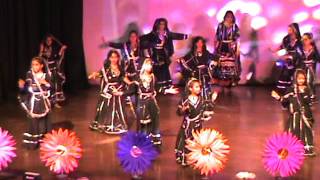 Rajasthani Folk Dance  Kalbelia [upl. by Aisatna]