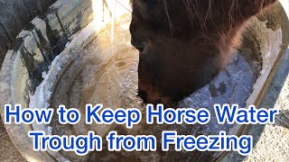 HOW TO KEEP YOUR HORSE WATER TROUGH FROM FREEZING [upl. by Grof]