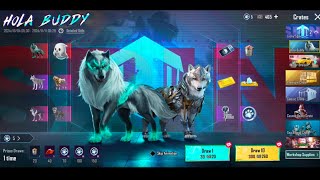 Hola Buddy Crate Opening Bgmi  New Wolf Companion Crate Opening  GAMEPLAY MATCH HIGHEST 🤣 [upl. by Lennie]