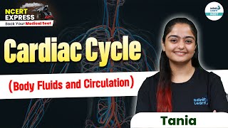 Complete Details of Cardiac Cycle  Body Fluids amp Circulation  NEET 2025  Class 11 Biology [upl. by Ephram]