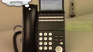 NEC VoIP Phones  Voicemail Setup [upl. by Airamas265]