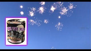 Wake the Dead 200g cake 10s  Snake Bite Fireworks x2 [upl. by Cicenia959]