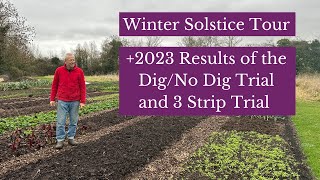 No dig garden 1500 m² ready for spring trial bed comparisons winter vegetables and cover crops [upl. by Alihet]